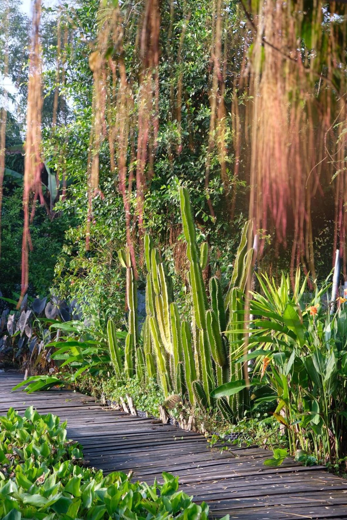 Bungalow - Farmstay Hoa Rung U Minh Cà Mau Buitenkant foto